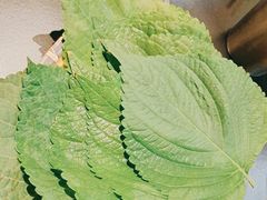 -烧江南烤肉(长春摩天活力城店)