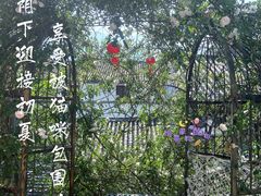 -喵屿·大理花园猫咖