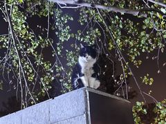 -同济大学(嘉定校区)