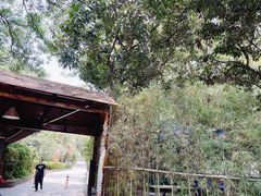 -顺风山庄(水濂山店)