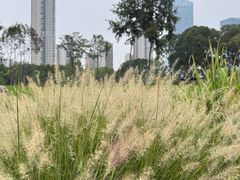 -后襄河公园