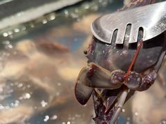 -星伦多自助料理(江阴万达店)