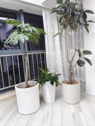 -HEYAN荷妍专业脱毛连锁机构