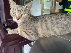 -狼山风景名胜区