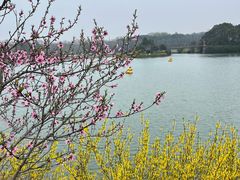 -宜兴龙背山森林公园