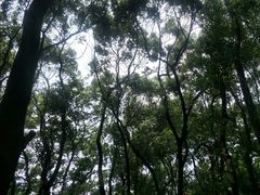-马王堆汉墓遗址