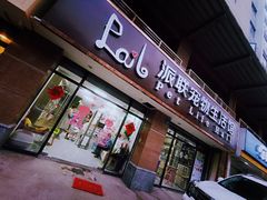 -派联宠物医院·24h·CT·异宠