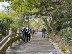 -普陀山风景区-佛顶山