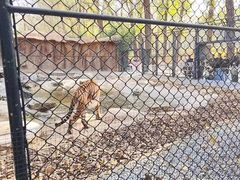 -北京野生动物园