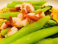 -新聚丰菜馆(太监弄店)