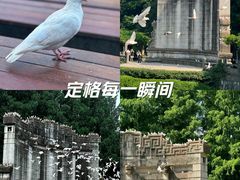 -音乐台