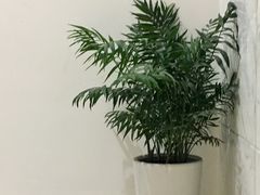 -黄浦区瑞金二路社区文化活动中心