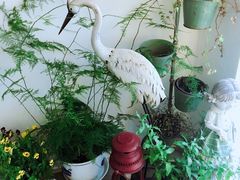 -Jo's Garden