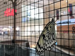 -LuOne凯德晶萃广场(徐家汇路店)