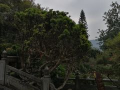 -国恩寺