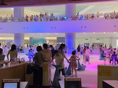 -TheRink大零溜冰场(IFS国金中心店)