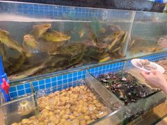 -鹿客臻鲜海鲜自助餐厅(永旺店)