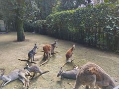 -福州动物园