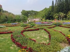 -深圳仙湖植物园