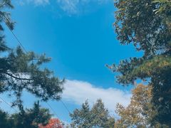 -终南山南五台景区