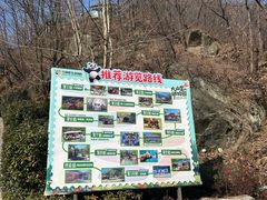 -栾川竹海野生动物园