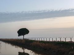 -大通湖