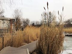 -春风习习