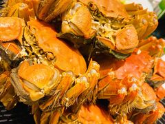 清蒸大闸蟹-王宝和酒家(黄浦店)