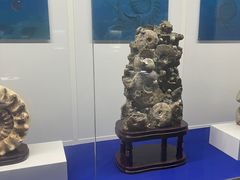 -贝壳王国博物馆