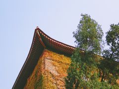 -陕西师范大学(雁塔校区)
