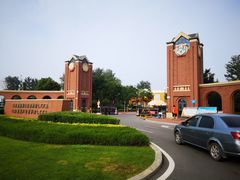 -山东鲁能乒乓球学校