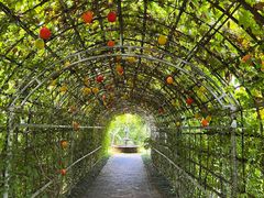 -Ohkajhu Organic Farm Sansai