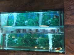 -宝哥火锅味馆