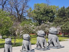 -沈阳市东陵公园