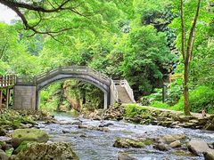 -广州市石门国家森林公园