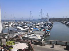 -Swiss Louis Italian & Seafood Restaurant