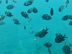 -亚龙湾海底世界