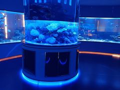 -上和臻品中国菜(花园街店)