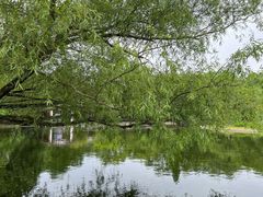 -上海共青森林公园