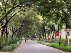 -云溪植物园