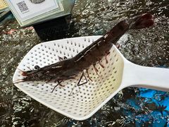 -盒马鲜生(南门口1662店)