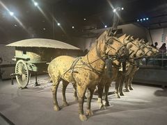 -秦始皇帝陵博物院-丽山园