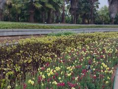 -厦门国家会计学院