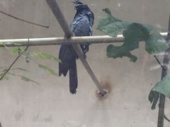 -昆明动物园