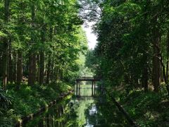 -东平国家森林公园