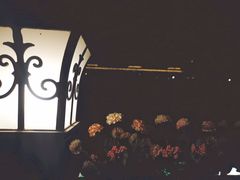 -Sirena海妖日咖夜酒