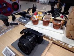 -Sony Store索尼(深圳深业上城店)