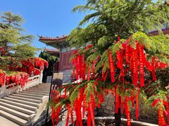 -龙口南山旅游景区