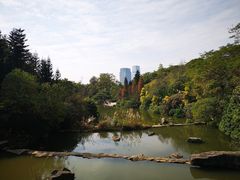-云溪植物园