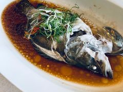 清蒸桂鱼-上海和平饭店龙凤厅 Dragon Phoenix